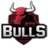 GTZ Bulls Esports